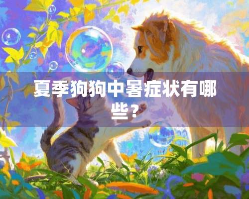 夏季狗狗中暑症状有哪些？