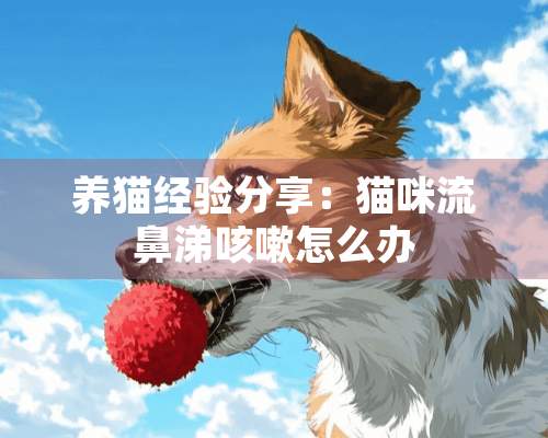 养猫经验分享：猫咪流鼻涕咳嗽怎么办