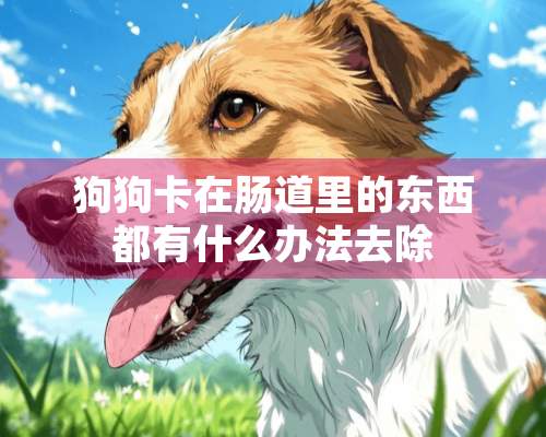 狗狗卡在肠道里的东西都有什么办法去除