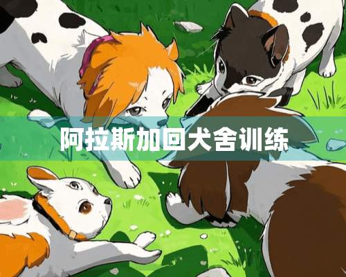 阿拉斯加回犬舍训练