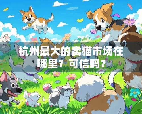 杭州最大的卖猫市场在哪里？可信吗？