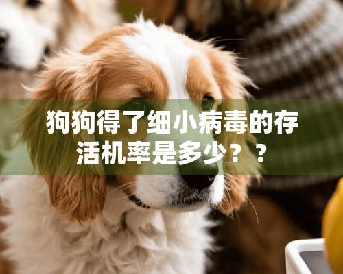 狗狗得了细小病毒的存活机率是多少？？