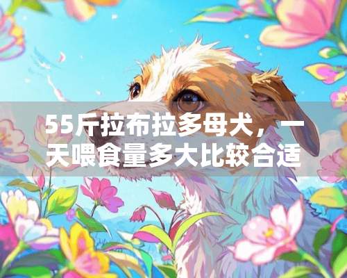 55斤拉布拉多母犬，一天喂食量多**较合适