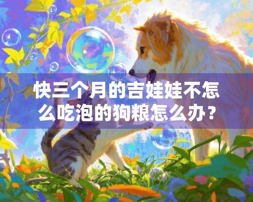 快三个月的吉娃娃不怎么吃泡的狗粮怎么办？