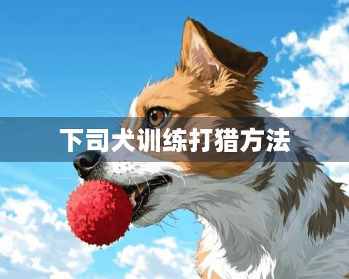 下司犬训练打猎方法