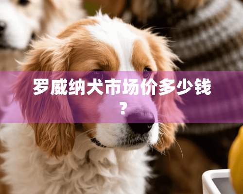 罗威纳犬市场价多少钱？