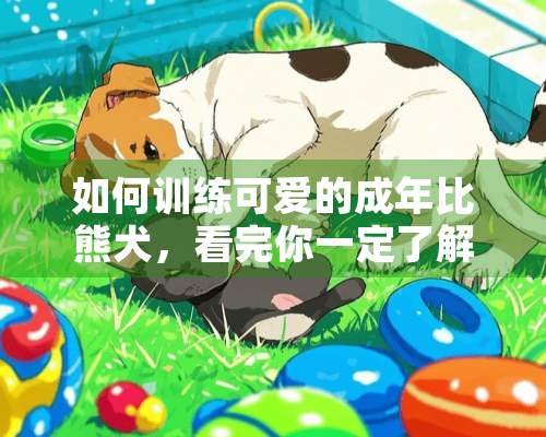 如何训练可爱的成年比熊犬，看完你一定了解