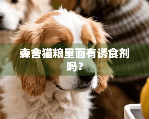 森舍猫粮里面有诱食剂吗？