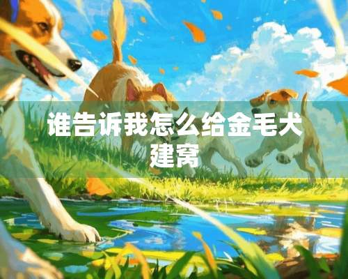 谁告诉我怎么给金毛犬建窝