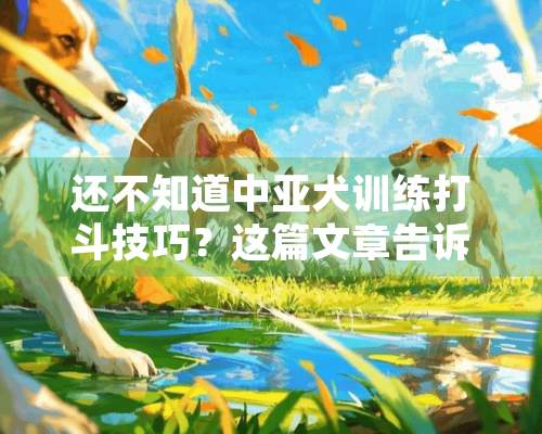 还不知道中亚犬训练打斗技巧？这篇文章告诉你