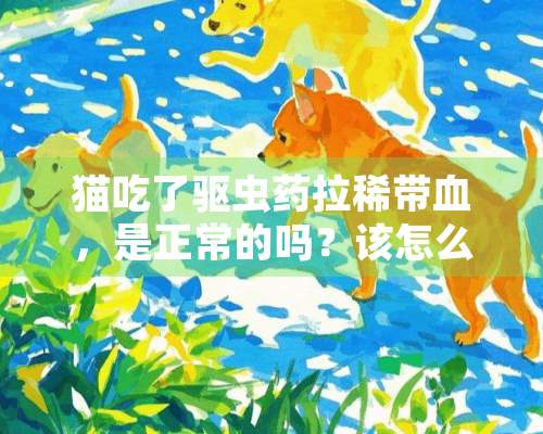 猫吃了驱虫药拉稀带血，是正常的吗？该怎么处理？