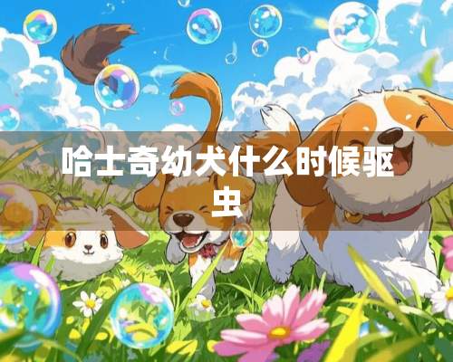 哈士奇幼犬什么时候驱虫