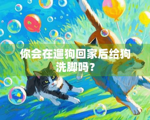 你会在遛狗回家后给狗洗脚吗？