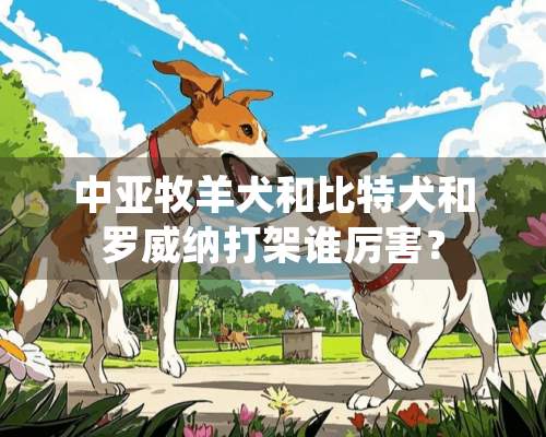 中亚牧羊犬和比特犬和罗威纳打架谁厉害？