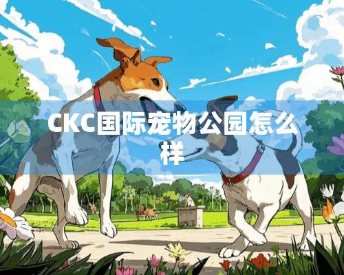 CKC国际宠物公园怎么样