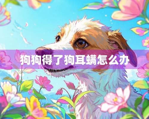 狗狗得了狗耳螨怎么办