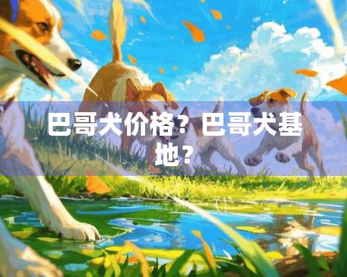 巴哥犬价格？巴哥犬基地？