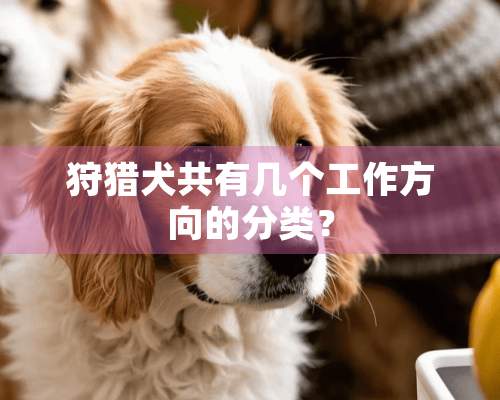 **犬共有几个工作方向的分类？