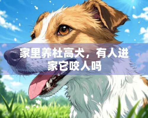 家里养杜高犬，有人进家它咬人吗