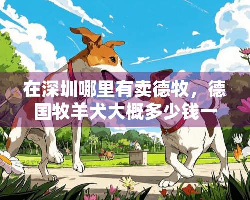 在深圳哪里有卖德牧，德国牧羊犬大概多少钱一只