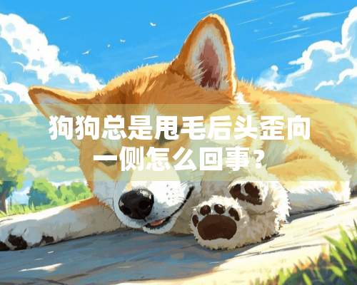 狗狗总是甩毛后头歪向一侧怎么回事？