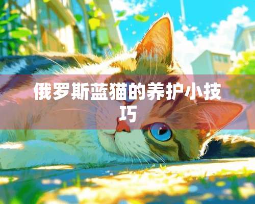 俄罗斯蓝猫的养护小技巧