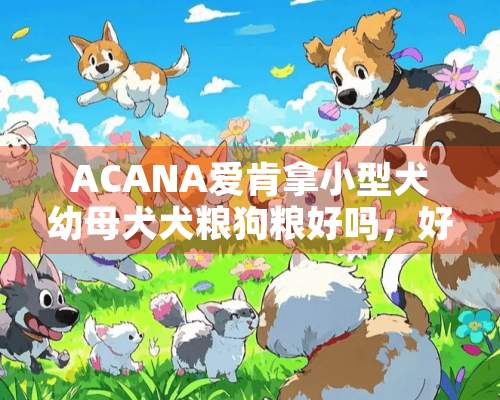 ACANA爱肯拿小型犬幼母犬犬粮狗粮好吗，好用