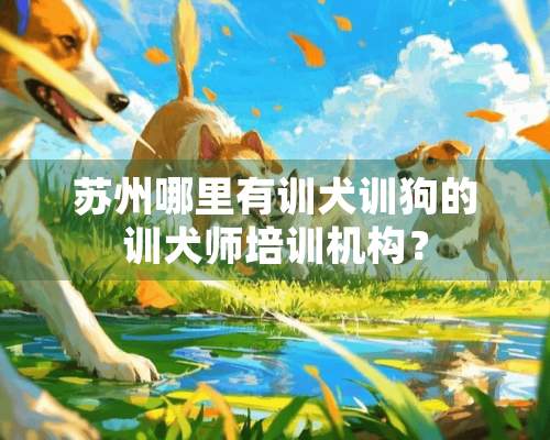 苏州哪里有训犬训狗的训犬师培训机构？