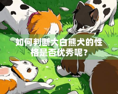 如何判断大白熊犬的性格是否优秀呢？