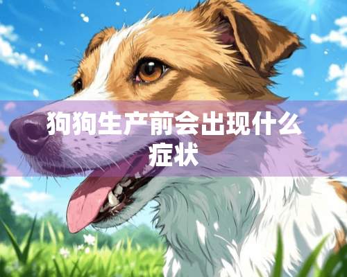 狗狗生产前会出现什么症状