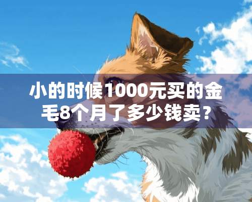 小的时候1000元买的金毛8个月了多少钱卖？