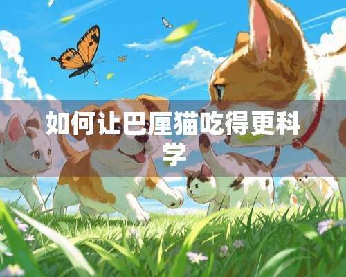 如何让巴厘猫吃得更科学