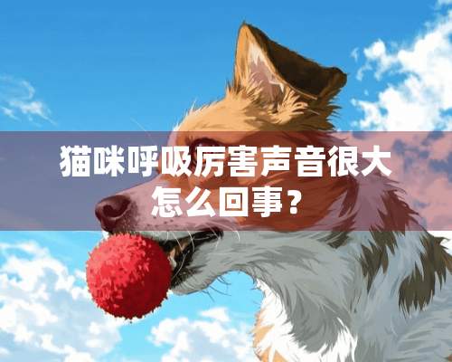 猫咪呼吸厉害声音很大怎么回事？