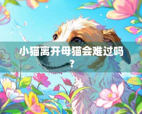 小猫离开母猫会难过吗？