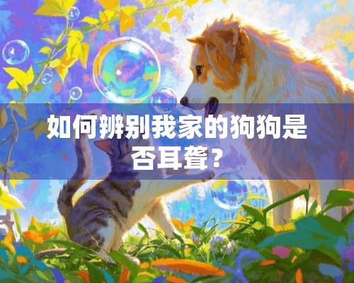 如何辨别我家的狗狗是否耳聋？