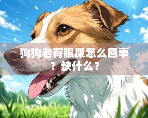 狗狗老有眼屎怎么回事？缺什么？