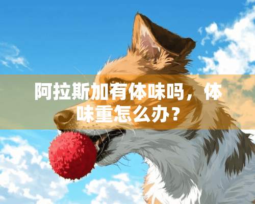 阿拉斯加有体味吗，体味重怎么办？