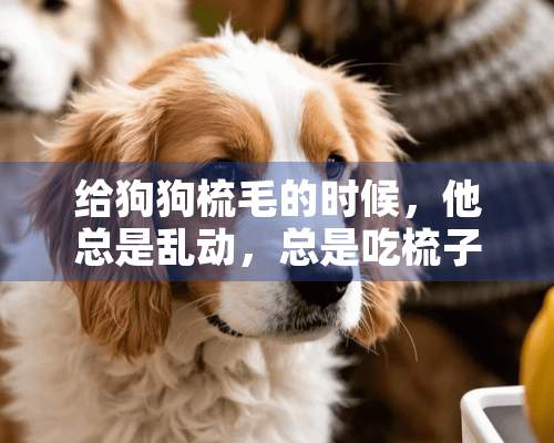 给狗狗梳毛的时候，他总是乱动，总是吃梳子，怎么办