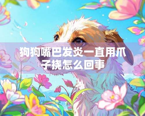 狗狗嘴巴发炎一直用爪子挠怎么回事