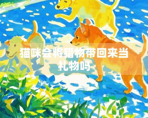 猫咪会将猎物带回来当礼物吗