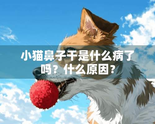 小猫鼻子干是什么病了吗？什么原因？