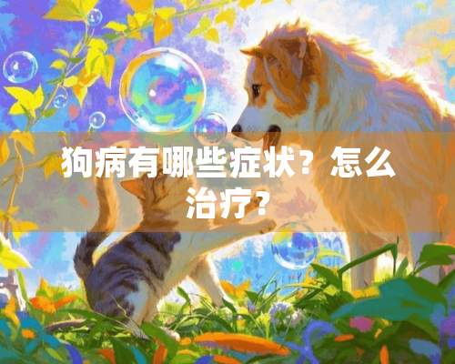 狗病有哪些症状？怎么治疗？