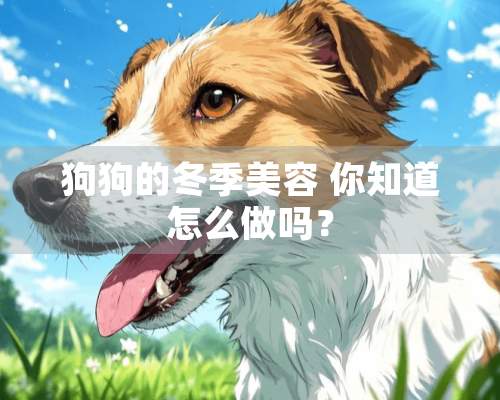 狗狗的冬季美容 你知道怎么做吗？