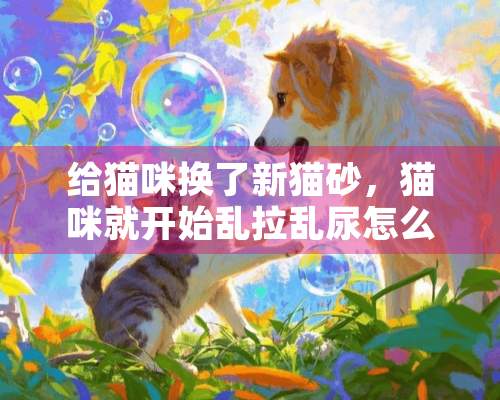 给猫咪换了新猫砂，猫咪就开始乱拉乱尿怎么办