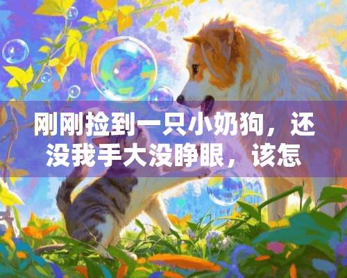 刚刚捡到一只小奶狗，还没我手大没睁眼，该怎么养活啊