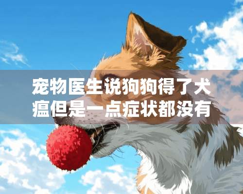 宠物医生说狗狗得了犬瘟但是一点症状都没有还很有精神 也没有吐 也没有不吃东西 原先喂多了拉肚子去医