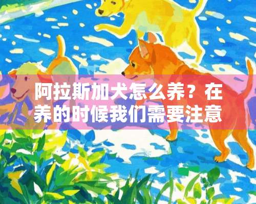 阿拉斯加犬怎么养？在养的时候我们需要注意哪些问题？