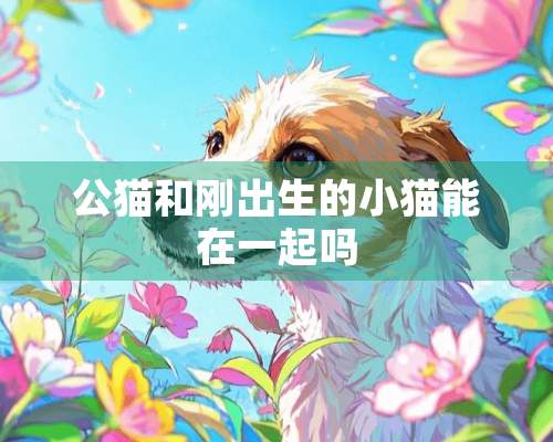 公猫和刚出生的小猫能在一起吗