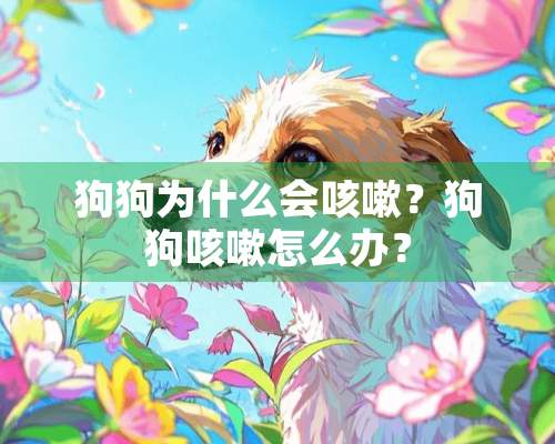 狗狗为什么会咳嗽？狗狗咳嗽怎么办？