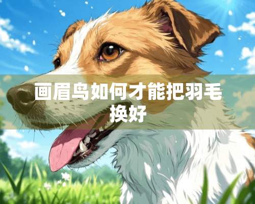 画眉鸟如何才能把羽毛换好